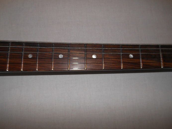 Limited Edition George Thorogood ES125TDC Picture 5